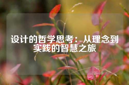 设计的哲学思考：从理念到实践的智慧之旅