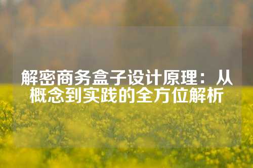 解密商务盒子设计原理：从概念到实践的全方位解析