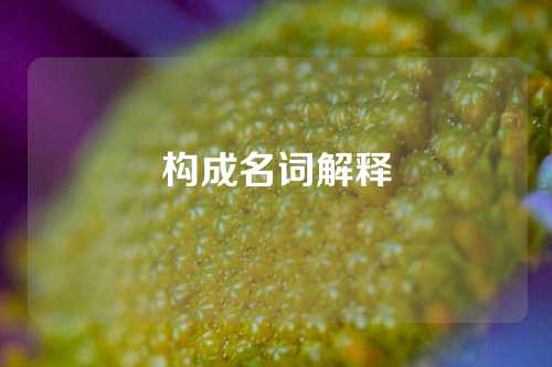 构成名词解释