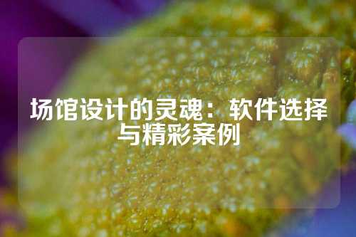 场馆设计的灵魂：软件选择与精彩案例