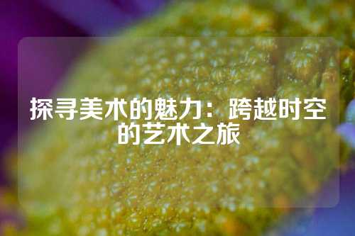 探寻美术的魅力:跨越时空的艺术之旅