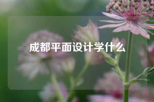 成都平面设计学什么