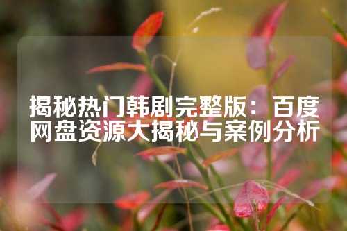 揭秘热门韩剧完整版：百度网盘资源大揭秘与案例分析