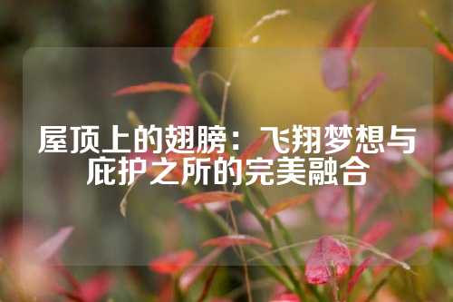 屋顶上的翅膀：飞翔梦想与庇护之所的完美融合